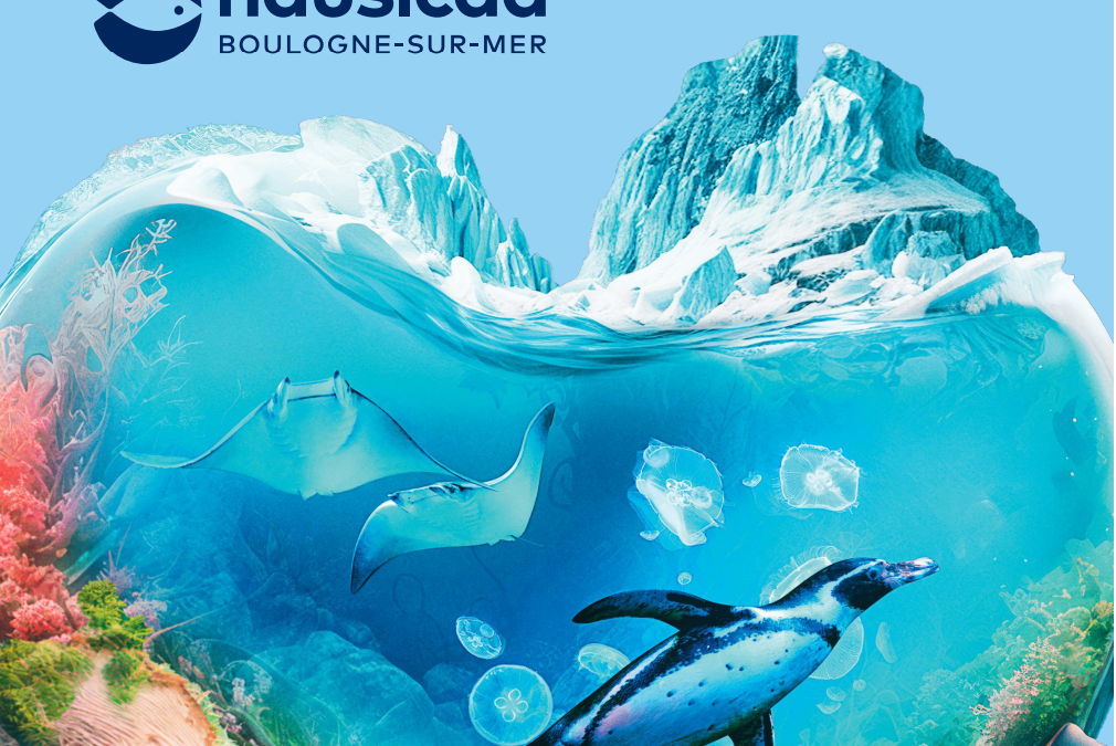 Nausicaa 2025