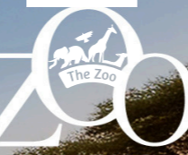 Capture d’écran 2026-02-12 181607